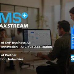 ¿Realmente estamos aprovechando nuestro ERP?