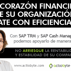 EL CORAZÓN FINANCIERO DE SU ORGANIZACIÓN LATE CON EFICIENCIA?