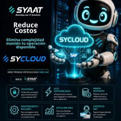 ¿Tu plataforma SAP puede acompañar el crecimiento de tu empresa sin quedarse corta?