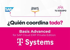 Simplifica la operación de tu entorno RISE